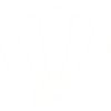 seashell 1resort-seashell